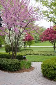 Most of flowering trees in the temperate areas have peak blooming in the spring. Top 10 Dwarf Ornamental Trees For The Landscape