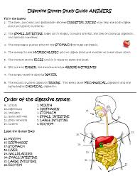 Find out by designing your own digestive system with the digestive system gizmo. Gizmo Digestive System Worksheet Answers Printable Worksheets And Activities For Teachers Parents Tutors And Homeschool Families
