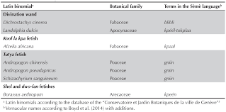 Image result for Andropogon pseudapricus