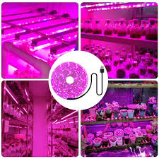 Wholesale future white t5 grow light fixture full spectrum 600 led grow strip lamp indoor plants 3500k. Led Grow Light Full Spectrum 5v Usb Grow Light Strip 2835 Led Phyto Lamps For Plants Greenhouse Hydroponic Growing 0 5m 1m 2m 3m Led Grow Lights Aliexpress