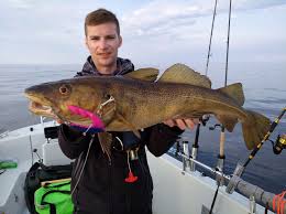 Niklas dorsch (born 15 january 1998) is a german professional footballer who plays as a midfielder for belgian club k.a.a. Dorsch Mit 80 Cm Fjordtun