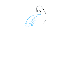 Learn how to draw a peacock by turning many of this bird's amazing details into a few simple and easy shapes to draw. How To Draw A Peacock In A Few Easy Steps Easy Drawing Guides