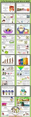 Life Science Visual Word Wall Spanish English With Root Words Prefixes And Suffixes Gettingnerdy W Science Word Wall Science Words Life Science Word Wall