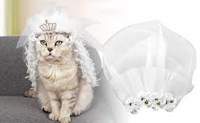 Maybe you would like to learn more about one of these? Schleier Fur Hunde Hund Braut Blume Kopfschmuck Hundehaarspangen Hund Haustier Katze Brautkleid Hochzeit Haar Zubehor Fur Kleine Hunde Katzen L Amazon De Haustier