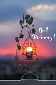Good Morning Beautiful Images Good Night Image Good Night Wishes Good Morning Beautiful Images