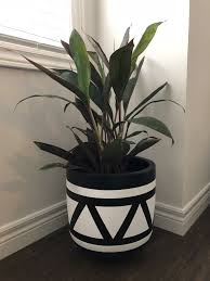 Black And White Flower Pot Design Aztec Pot Makes A Statement In 2020 Painted Plant Pots Plant Pot Design Plant Pot Diy