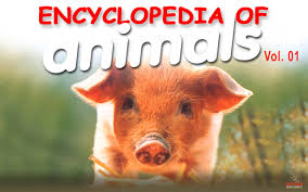 What is the best animal movie of all time? Encyclopedia Of Animals 01 Movie Full Download Watch Encyclopedia Of Animals 01 Movie Online English Movies