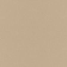 Image result for Light Driftwood 2000 Dodge