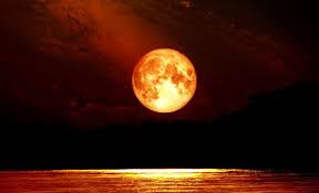 Pin On La Fuerza Gravitacional