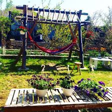 Dar să revenim la ceea ce voiam să vă spun. Cuibul De La Mare Agroturism De Calitate In Romania