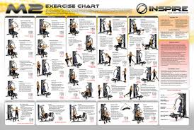 Inspire Fitness Downloads Exercises Gym Workout Chart