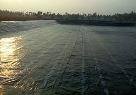 Maybe you would like to learn more about one of these? Pond Liners India Pond Liner Manufacturers India Pond Liner Suppliers India Geomembrane Pond Liner India Geomembrane Liner India Hdpe Pond Liner India