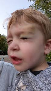 Just found out I posted documents rather than pdf. I'll fix when I get  home.