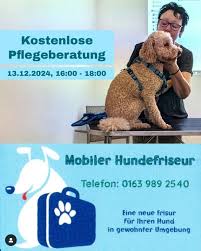 Mobiler Hundefriseur - Cornelia Nocon -