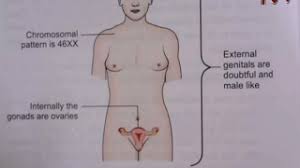 Most intersex people identify and live as ordinary men and. Health Focus Dealing With Ambiguous Genitalia In Intersex Children Youtube