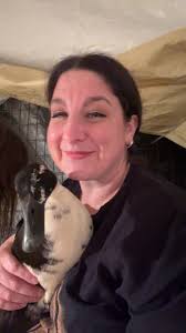 What duck messages to write for a Christmas cruise?