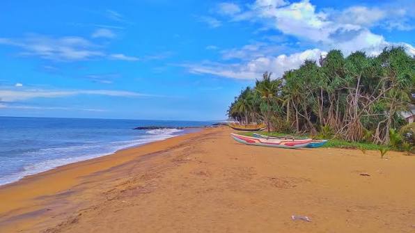 Wadduwa beach golden sand west coast palm trees Sri Lanka Kalutara beach