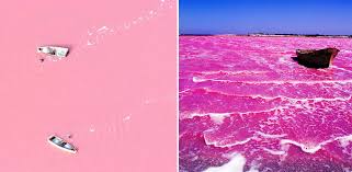 Image result for pics of pink colored lakes around the world