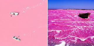 Image result for pics of pink colored lakes around the world