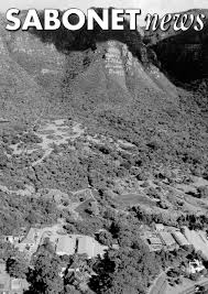 Image result for Kyllingiella microcephala