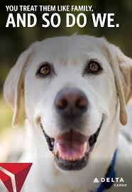 Find our pet shipping prices and policies. Pet Transport Delta Cargo