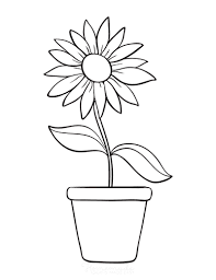 Download the printable sunflower coloring sheet today! 112 Beautiful Flower Coloring Pages Free Printables For Kids Adults