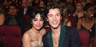 Is your network connection unstable or browser outdated? Senorita Lyrics Camila Cabello Shawn Mendes Song Meaning
