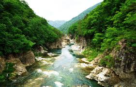 The largest river in japan is the shinano. Wallpaper Trees Landscape Mountains River Rocks Japan Japan Rivers Nikko Nationa Park Images For Desktop Section Pejzazhi Download
