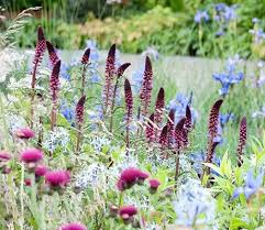 Maybe you would like to learn more about one of these? Ready Made Borders