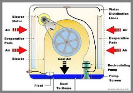 See the following wiring diagrams for 120v and 240v. Swamp Cooler Fuse Box Select Wiring Diagram Week Minimum Week Minimum Clabattaglia It