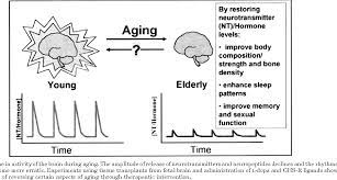 Pdf Molecular Endocrinology And Physiology Of The Aging Central Nervous System Semantic Scholar