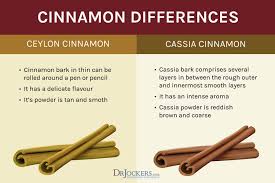 What Is The Best Cinnamon To Use Drjockers Com