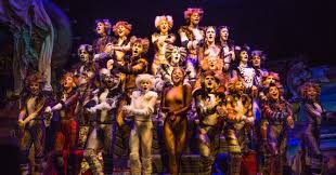 Buzzfeed staff the more wrong answers. When Did The Musical Cats Premiere Trivia Questions Quizzclub