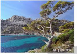 Marselha) is, na parijs, de tweede stad naar inwoneraantal van frankrijk. Poster Strand Kiefer In Den Buchten Von Marseille Pixers Wir Leben Um Zu Verandern