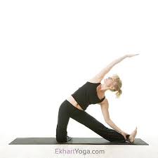 Gate Pose Or Parighasana Ekhart Yoga Yoga Video Workout Yoga Poses Online Yoga Videos
