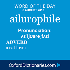 Ailurophile Adverb A Cat Lover Word Of The Day For 8 August 2015 Wotd Wordoftheday Ailurophile Weird Words Cool Words Unusual Words