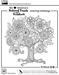 Looking for some beautiful printable pages for your book of shadows? Color The Outdoors Us Forest Service