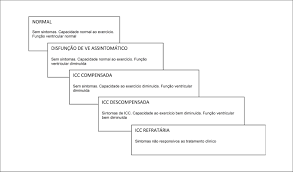 Veja mais ideias sobre cuidados de enfermagem, enfermagem, material de enfermagem. I Diretriz De Insuficiencia Cardiaca Ic E Transplante Cardiaco No Feto Na Crianca E Em Adultos Com Cardiopatia Congenita Da Sociedade Brasileira De Cardiologia Sanar Medicina
