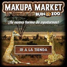Si compras tu entrada a buin marino en nuestro sitio web junto los días de lluvia buin zoo abre en sus horarios habituales. Buinzoo Horarios Y Valores
