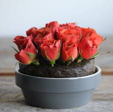 Get the best deal for floral wire from the largest online selection at ebay.com. Natural Floral Foam Agra Wool International