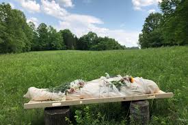 Can i bury a body in my garden. Green Funerals Eco Friendly Advancements In Body Disposal Are Making Death Easier On The Environment Fortune