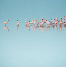 Be Happy Nomad Travel