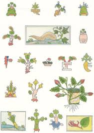An Aztec Herbal