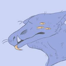 It handles various sources like twitter differently to make sure to download the best quality available. New Discord Pfp By Jadeandnicole On Deviantart