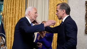 Image result for Bidens buchneri