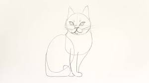 We did not find results for: 4 Modi Per Disegnare Un Gatto Wikihow