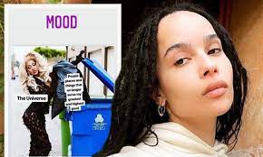 Zoe Kravitz Posts Cryptic Meme About Taking Out The Trash After Filing For Divorce From Karl Glusman Daily Mail Online