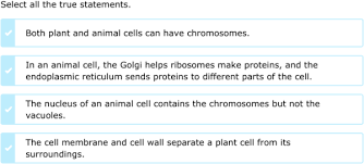 Seventh grade is often the year students are assigned the onerous task of creating a model of an animal cell. Ixl Compare Cells And Cell Parts 7th Grade Science