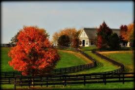 Things To Do In The Lexington Ky Area In The Fall Lexington Kentucky Horse Park My Old Kentucky Home