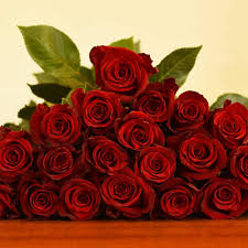 Trias flowers & gifts offers an array of elegant rose arrangements. Explorer Red Roses 100 Stems J R Roses Wholesale Flowers